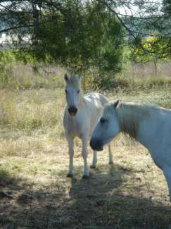 DSC00010.JPG